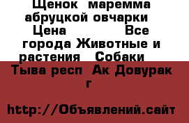 Щенок  маремма абруцкой овчарки › Цена ­ 50 000 - Все города Животные и растения » Собаки   . Тыва респ.,Ак-Довурак г.